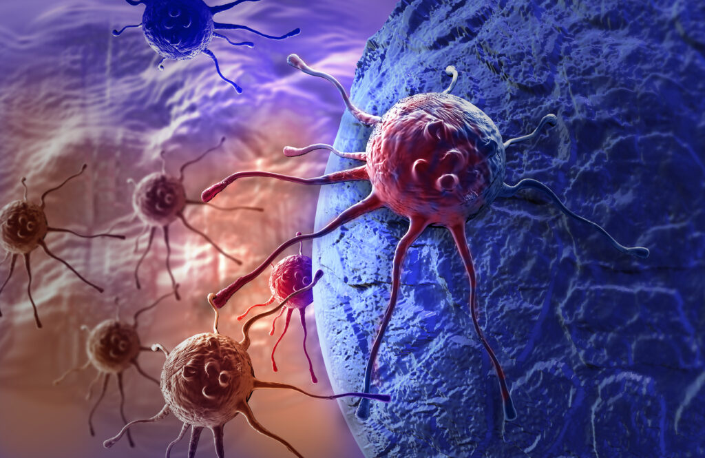 Trained Immunity against cancer